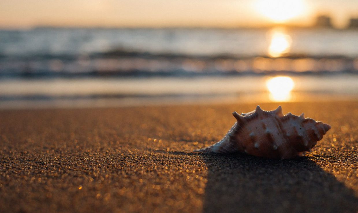 Stranden Nederland